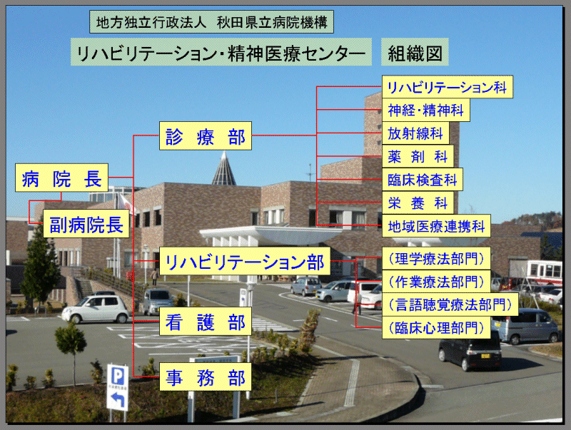 図：組織図